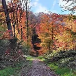 Holiday home 4 Bedroom Awesome Home In Lyons-La-Foret *